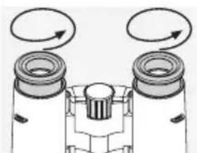 SWAROVSKI OPTIK CL Pocket Mountain 8x25 B - INSTALLING AV DE VRIDBARA ÖGONMUSSLORNA - 1