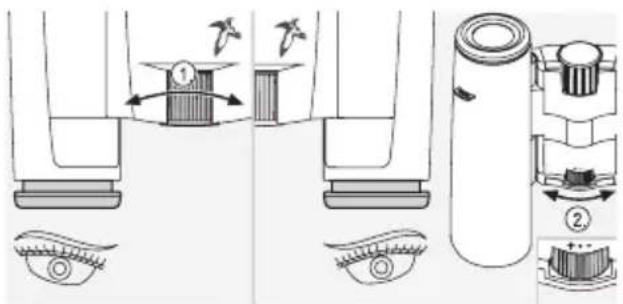 SWAROVSKI OPTIK CL Pocket Mountain 8x25 B - När ögonen har olika synförmåga: - 1