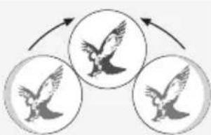 SWAROVSKI OPTIK CL Pocket Mountain 8x25 B - REGOLAIZIONE DELLA DISTANZA OCULARE - 2