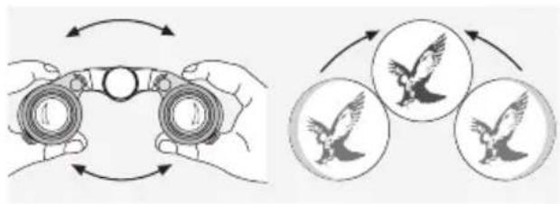 SWAROVSKI OPTIK CL Pocket Mountain 8x25 B - EINSTELLUNG DES AUGENABSTANDES - 1