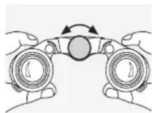 SWAROVSKI OPTIK CL Pocket Mountain 8x25 B - INDSTILLING AF BILLEDSKARPHEDEN - 1