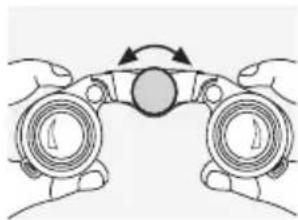 SWAROVSKI OPTIK CL Pocket Mountain 8x25 B - HACTPOIKA PE3K0CTN 306PAXEHN - 1