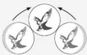 SWAROVSKI OPTIK CL Pocket Mountain 8x25 B - AJUSTE DE LA DISTANCIA INTERPUPILAR - 2