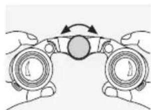 SWAROVSKI OPTIK CL Pocket Mountain 8x25 B - FOKUSERING - 1