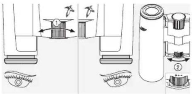 SWAROVSKI OPTIK CL Pocket Mountain 8x25 B - Gebruik bij verschillend gezichtsvermogen van beiden ogen: - 1