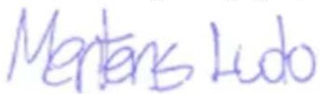 PowerPlus POWX1365MB - MEGFELELOSEGINYILATKOZAT - 3