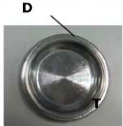 ALPINA SF2812 - MISURE DI SICUREZZA IMPORTANTI - 2