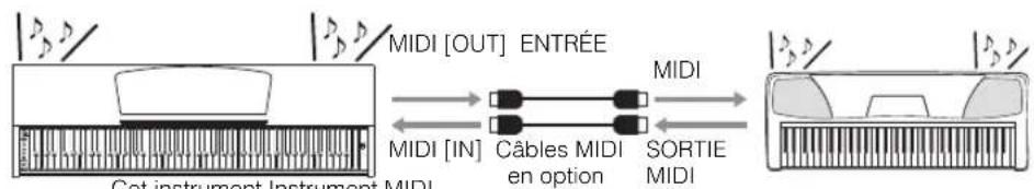 YAMAHA Arius YDPC71PE - Possibilities offertes par la connexion MIDI - 1