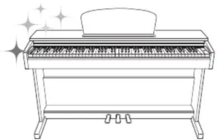 YAMAHA Arius YDPC71PE - Transport - 1