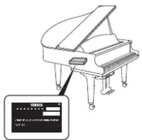 YAMAHA Diskklavier E3 Classic - 4