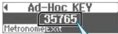 ROLAND HP507 - Limits - 2