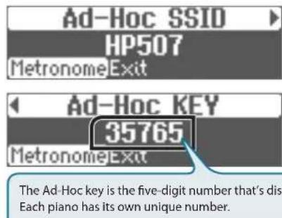 ROLAND HP507 - Limitations - 1