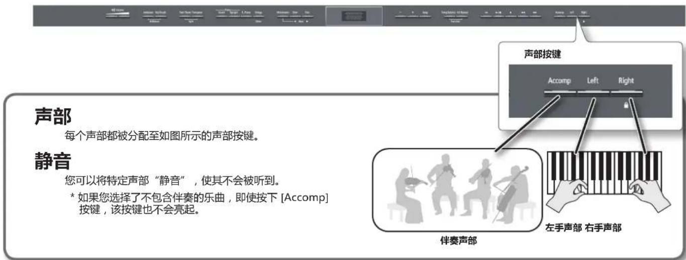 ROLAND HP504 - 单手练习(声部静音) - 1