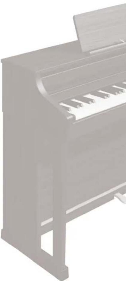 ROLAND HP504 - 使用计算机为您录制的乐曲制作 CD - 1