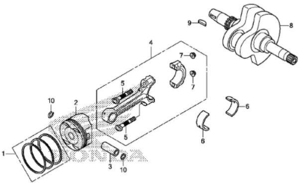 Honda NSS300 (2013) - RIGHT CRANKCASE COVER/WATER PUMP - 15