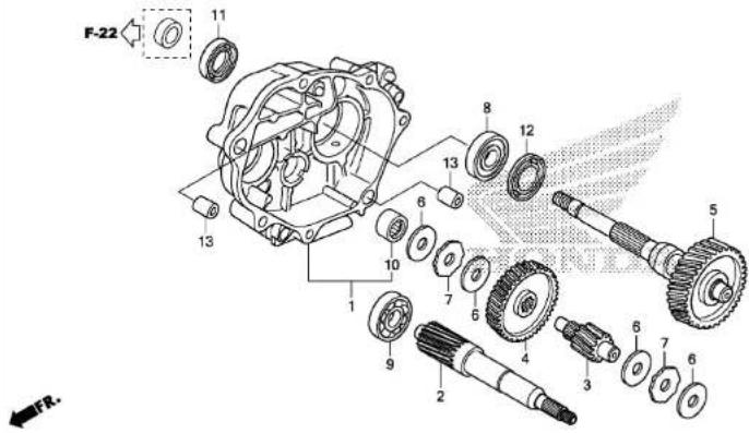Honda NSS300 (2013) - RIGHT CRANKCASE COVER/WATER PUMP - 11