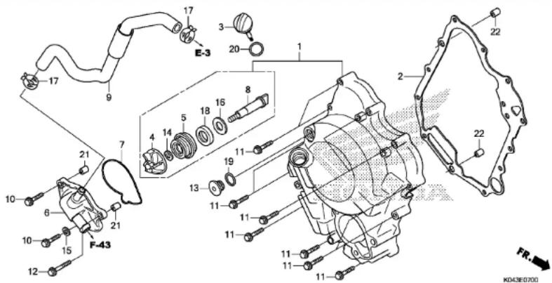 Honda NSS300 (2013) - RIGHT CRANKCASE COVER/WATER PUMP - 1