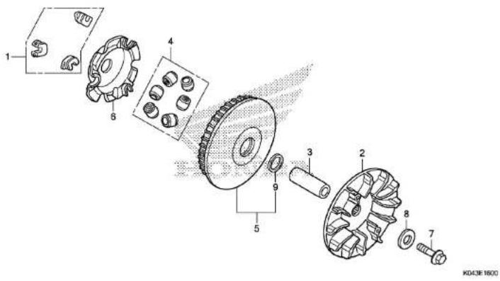 Honda NSS300 (2013) - RIGHT CRANKCASE COVER/WATER PUMP - 6