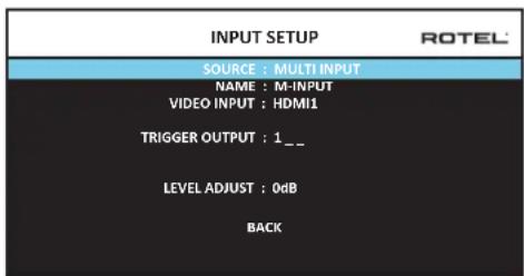 ROTEL RAP1580 - Multi Input Setup - 1