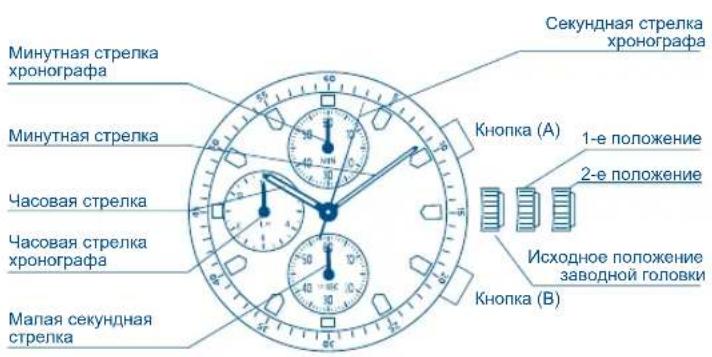 FESTINA F16604 - IFMOS30IFMOS30 - 1