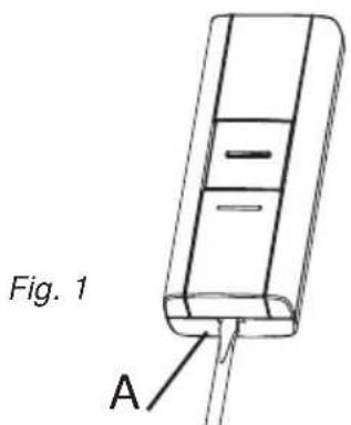 Fig. 1 A