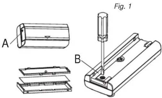 Fig. 1 A B