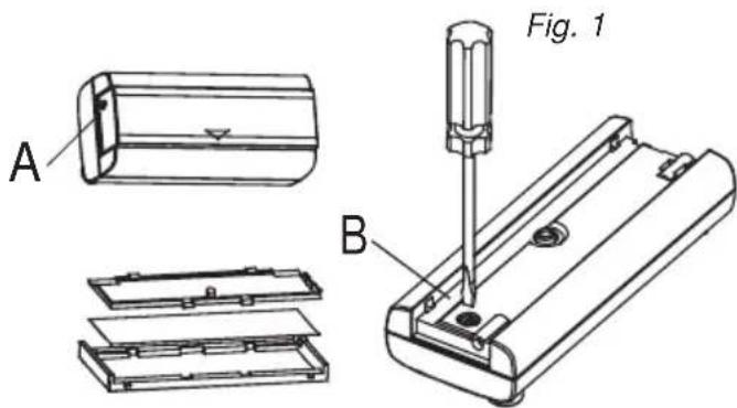 Fig. 1 A B