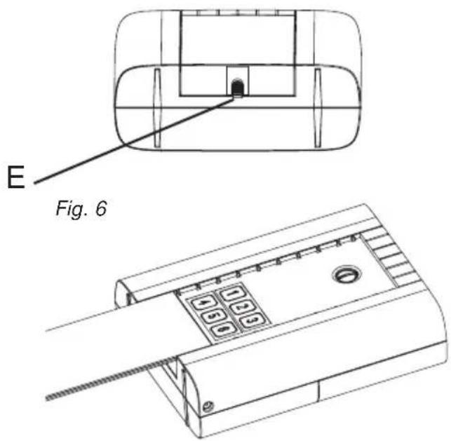 E Fig. 6