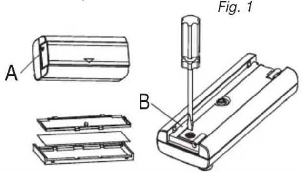 Fig. 1 A B