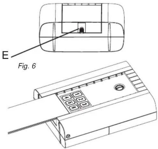 E Fig. 6