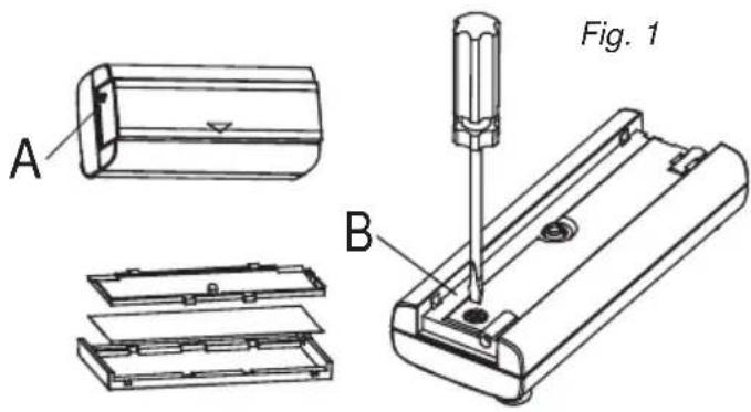 Fig. 1 A B