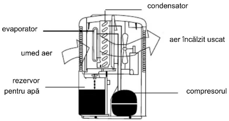 Master DH 711 - CUM FUNCTIONAZA - 1