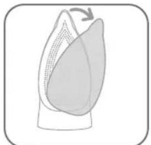 ROWENTA Focus DZ5100 - 3