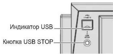 PIONEER XDJ1000 - MEPbI IPEIOCTOPOXHOCTN IPNOBPAUHEHNC CETEBIM UHYPOM - 1