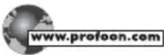 PROFOON TX119 - Déclaration de CONFORMITE - 1