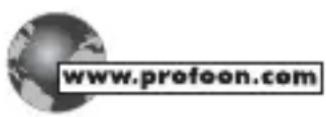 PROFOON TX119 - ERKLÄRUNG ZUR KONFORMITÄT - 1