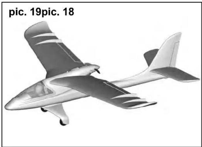MULTIPLEX RTF SHARK - Risques - 20