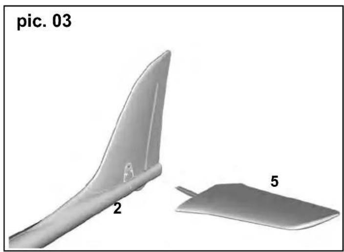 MULTIPLEX RTF SHARK - Risques - 2
