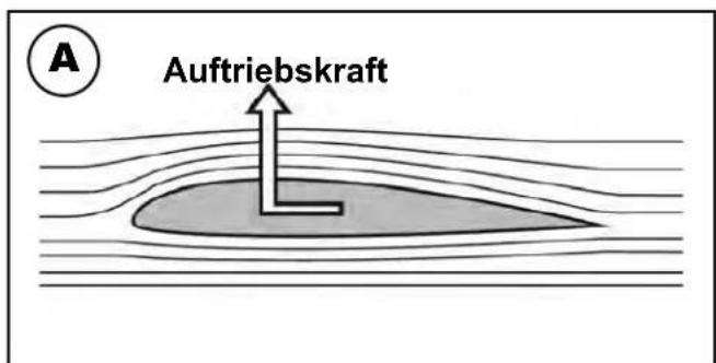 MULTIPLEX RTF SHARK - Folgende Ruder sind mit dem Sender bedienen. - 1
