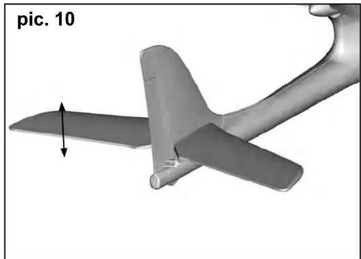 MULTIPLEX RTF SHARK - Risques - 9