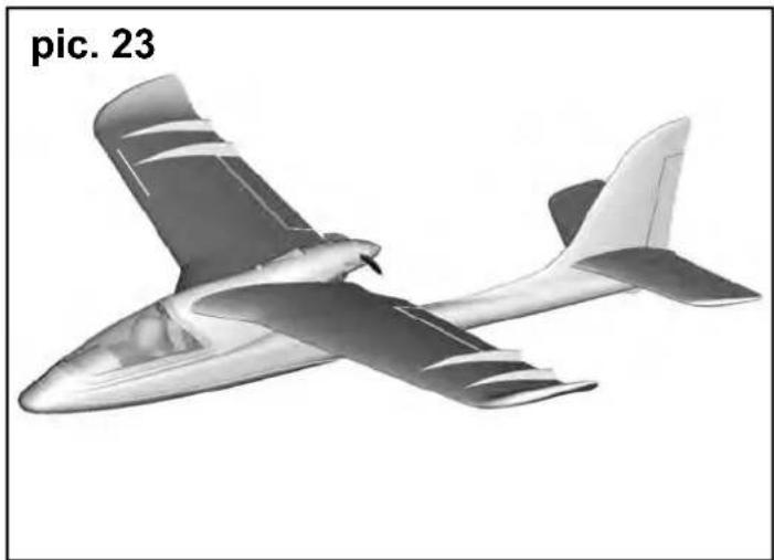 MULTIPLEX RTF SHARK - Risques - 24