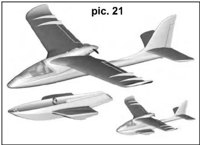 MULTIPLEX RTF SHARK - Risques - 22