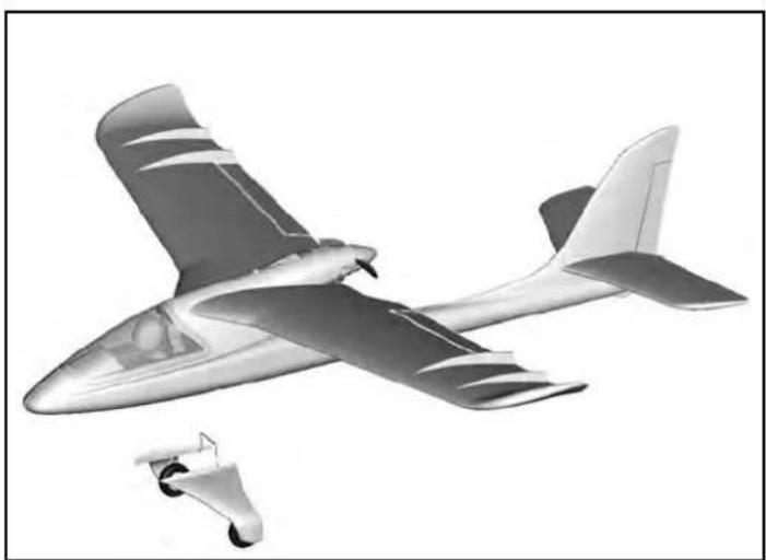 MULTIPLEX RTF SHARK - Risques - 19