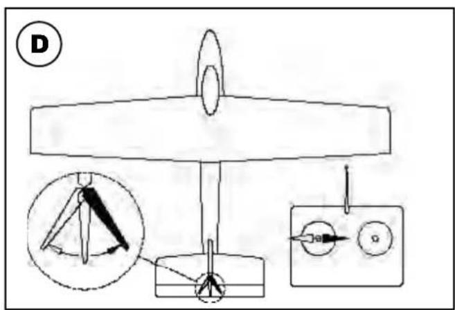 MULTIPLEX RTF SHARK - Otros riesgos - 2