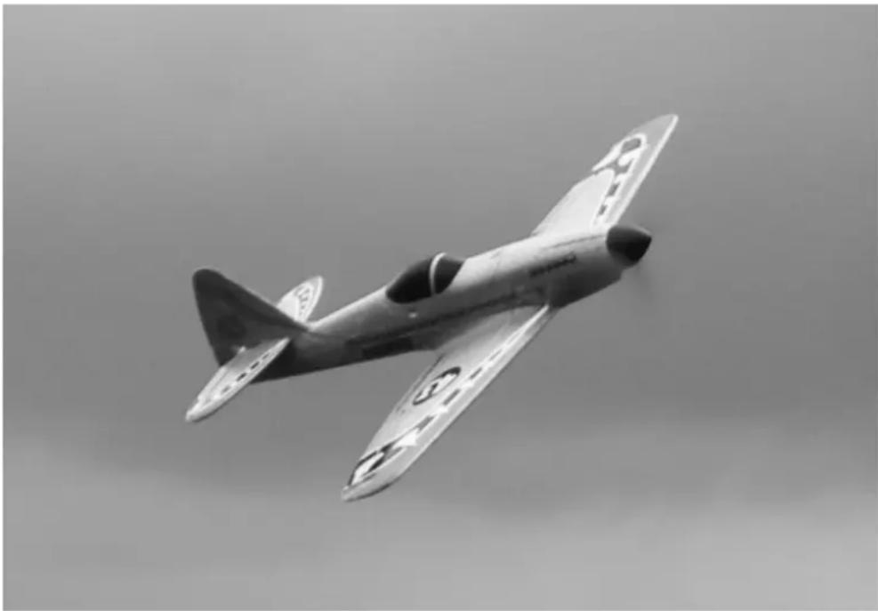MULTIPLEX Kit DogFighter - 4580 Lámina decorativa - 1