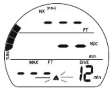 OCEANIC Veo 1.0 - INFRACTION DIFFÉRÉE 3 (DV 3) - 1