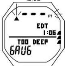 OCEANIC OCS - INFRACTION DIFFEREE 3 (DV3) - 3