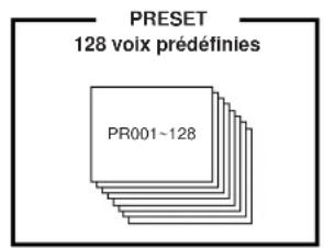 YAMAHA S08 - Structure des mémoires - 4