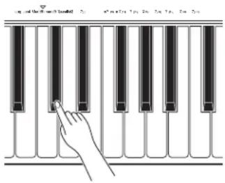 YAMAHA QS300 - Sélectionnez le type d'accord depuis le clavier et appuyez sur ENTER pour entrer le nouvel accord. - 1