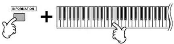 YAMAHA MO8 - Réglages de notes (de touches) - 2